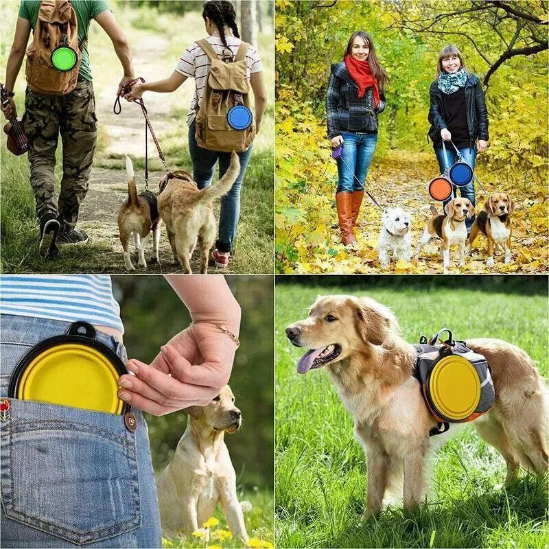 Foldable Silicone Pet Bowl Portable Travel Feeder for Dog and Cat - Green