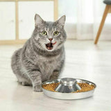 Stainless Steel Pet Bowl Slow Feeder Dish Puppy Dog Cat Food Feeding Weaning Bowl - M