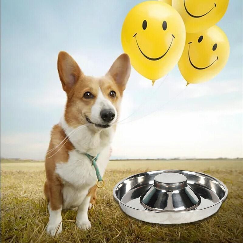 Stainless Steel Pet Bowl Slow Feeder Dish Puppy Dog Cat Food Feeding Weaning Bowl - M