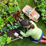 Stainless Steel Scale Spade Gardening Shovel Small Gardens Succulents Plant Tool - 45-Degree Angle