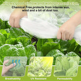 Agricultural Insect-proof Greenhouse Net for Fruit Vegetable Plant Protection - 250CMx5M - 45-Degree Angle
