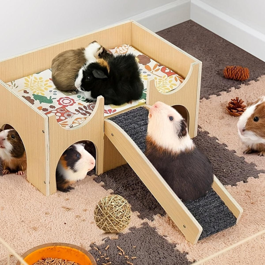 Natural-Finish Small Pet House with Ramp - 1 Piece