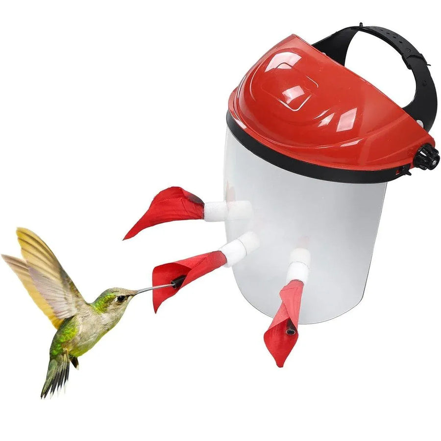 Outdoor Head Mounted Bird Feeder Portable Helmet Bird Feeder Wild Birds Feeding