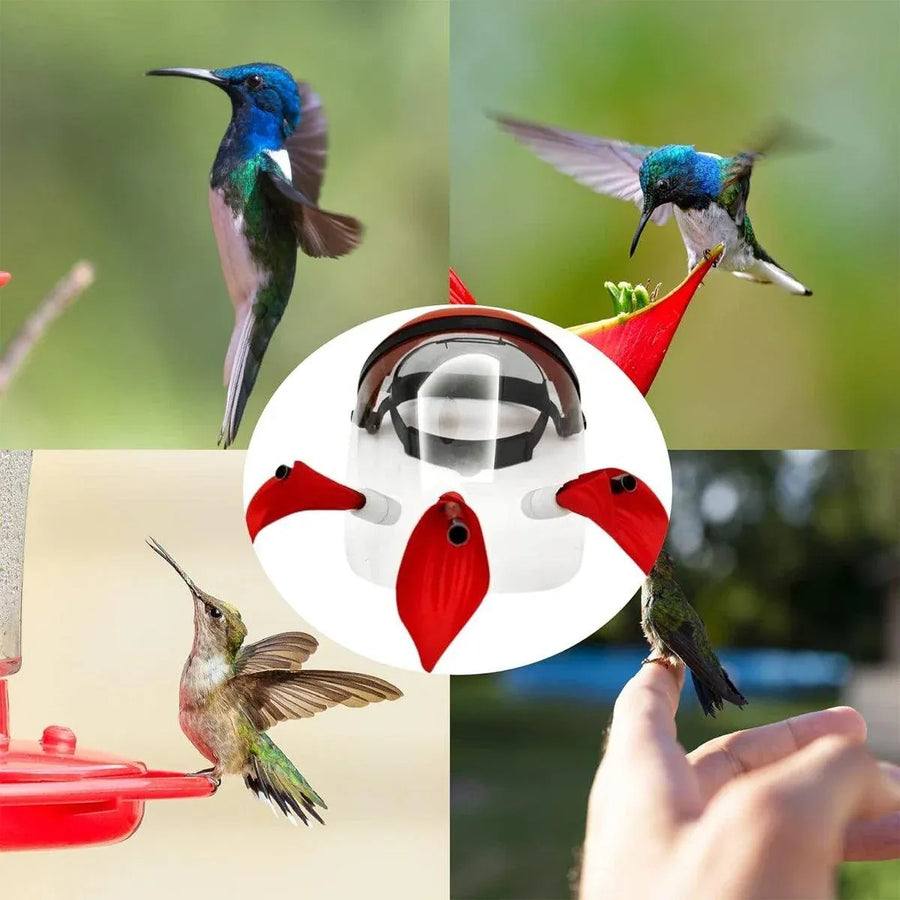 Outdoor Head Mounted Bird Feeder Portable Helmet Bird Feeder Wild Birds Feeding