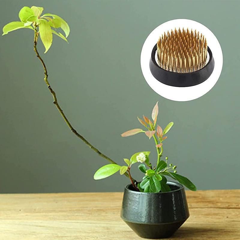 Round Flower Base Holder Spiky Frog Fixed Tool Floral Arrange For Ikebana Kenzan