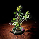 Round Flower Base Holder Spiky Frog Fixed Tool Floral Arrange For Ikebana Kenzan - 46mm - Side View