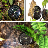 Reptile Thermometer Hygrometer for Terrariums Lizard Snake Tortoise Frog Habitat - 45-Degree Angle