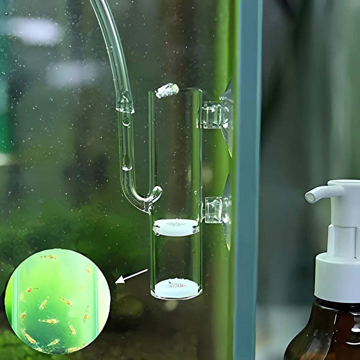 Pneumatic Crystal Shrimp Incubator CO2 Aquatic Plant Aquarium Equipment for Fish