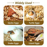 Reptile Pet Egg Incubator for Hatching High Quality Home Use Reptile Care - Top-Down View