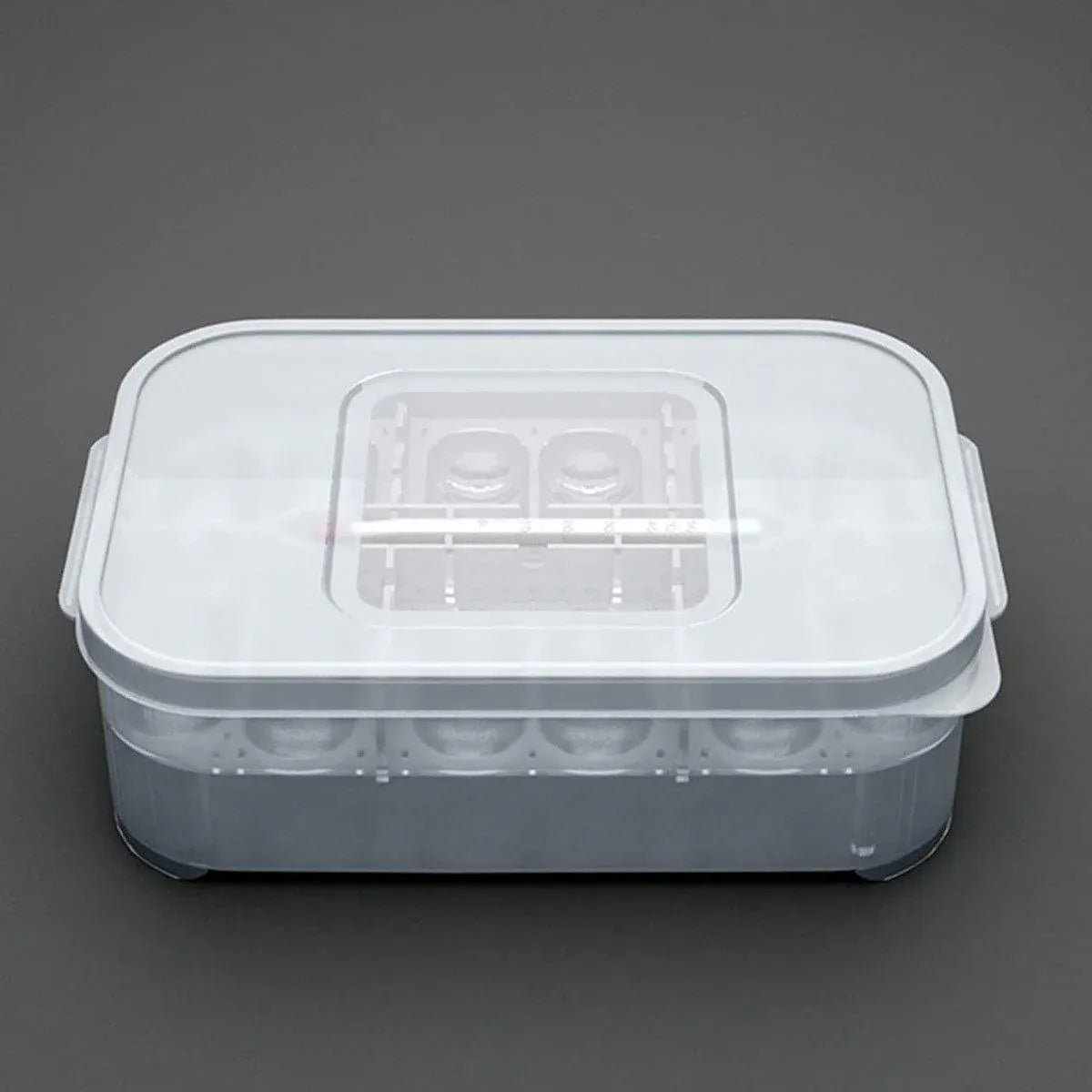 Reptile Pet Egg Incubator for Hatching High Quality Home Use Reptile Care