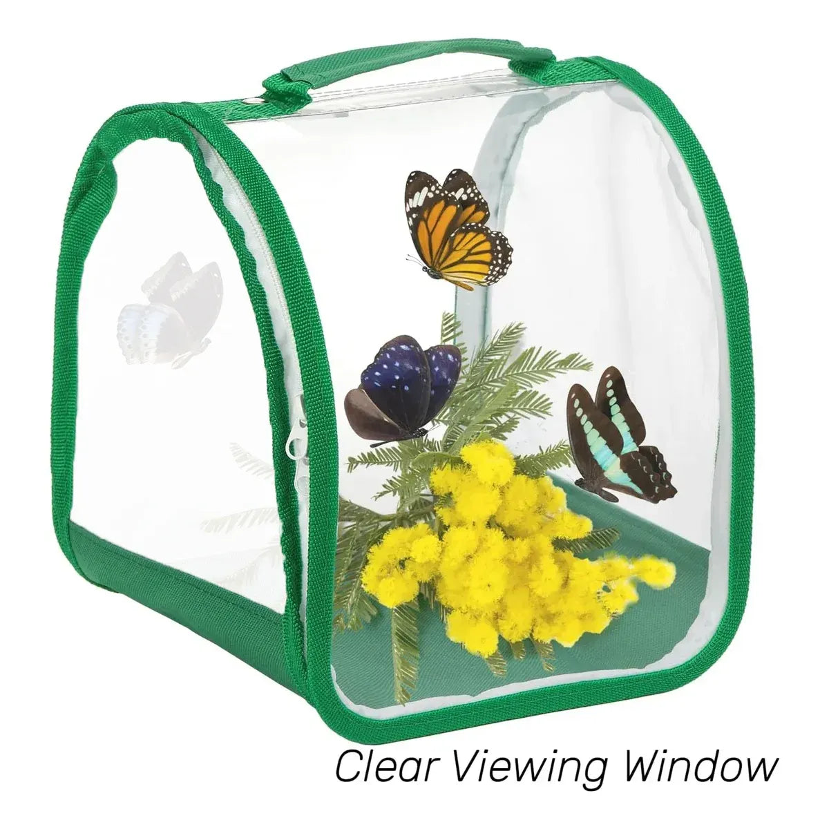 Portable Foldable Insect Cage Transparent for Outdoor Bug Collecting