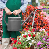 3L Gray Retro Watering Can Long Spout Large Capacity Shower Kettle for Garden - Top-Down View