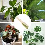 Portable Handheld Leaf Cleaning Brush for Potted Plants and Garden Care Tool