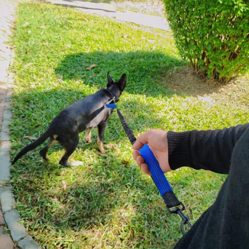 Hands Free Dog Leash Adjustable Lead with Waist Belt Bag for Walking Jogging Running - Black+Grey