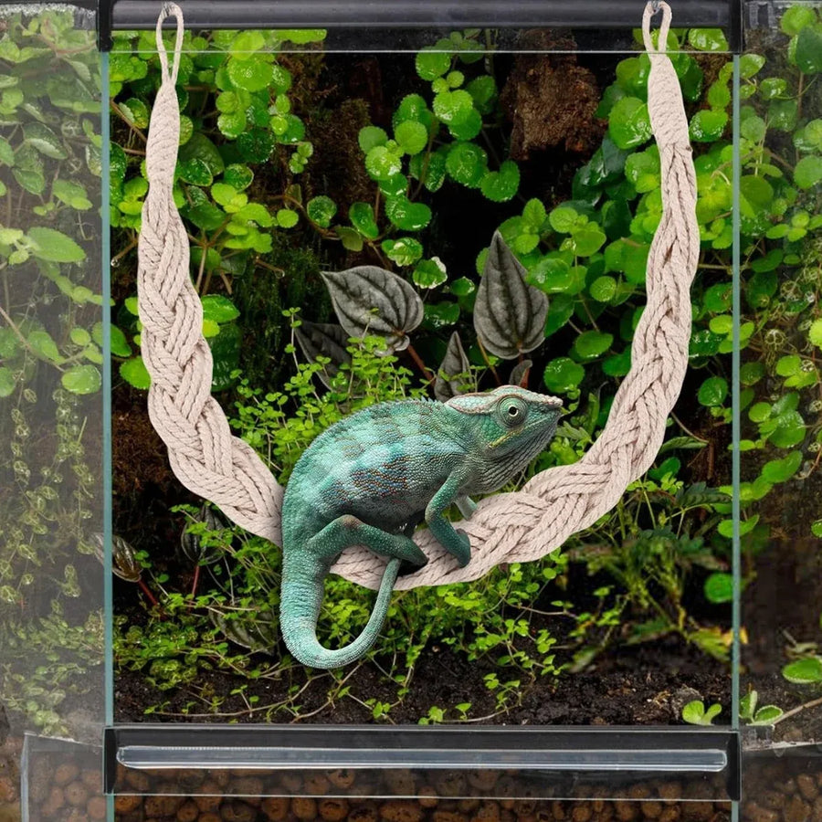 1PC Pet Climbing Gear Suspension Bridge Rope Swing for Reptiles Hermit Crabs