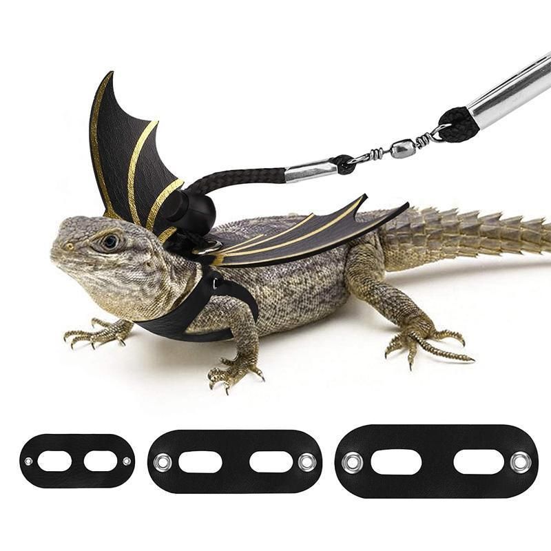 Lizard Harness Leash with Bat Wings Adjustable Reptile Lead for Bearded Dragons