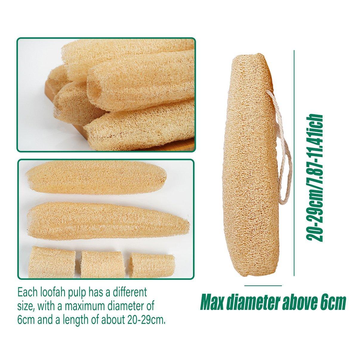 Natural Loofah Sponge Kitchen Scrubber for Dishwashing Pot Cleaning 5 Pack
