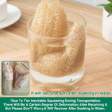 Natural Loofah Sponge Kitchen Scrubber for Dishwashing Pot Cleaning 5 Pack - 45-Degree Angle
