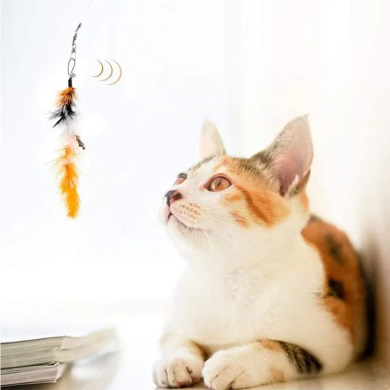 12PCS Cat Feather Teaser Wand Set Interactive Toy for Kittens and Cats Gift