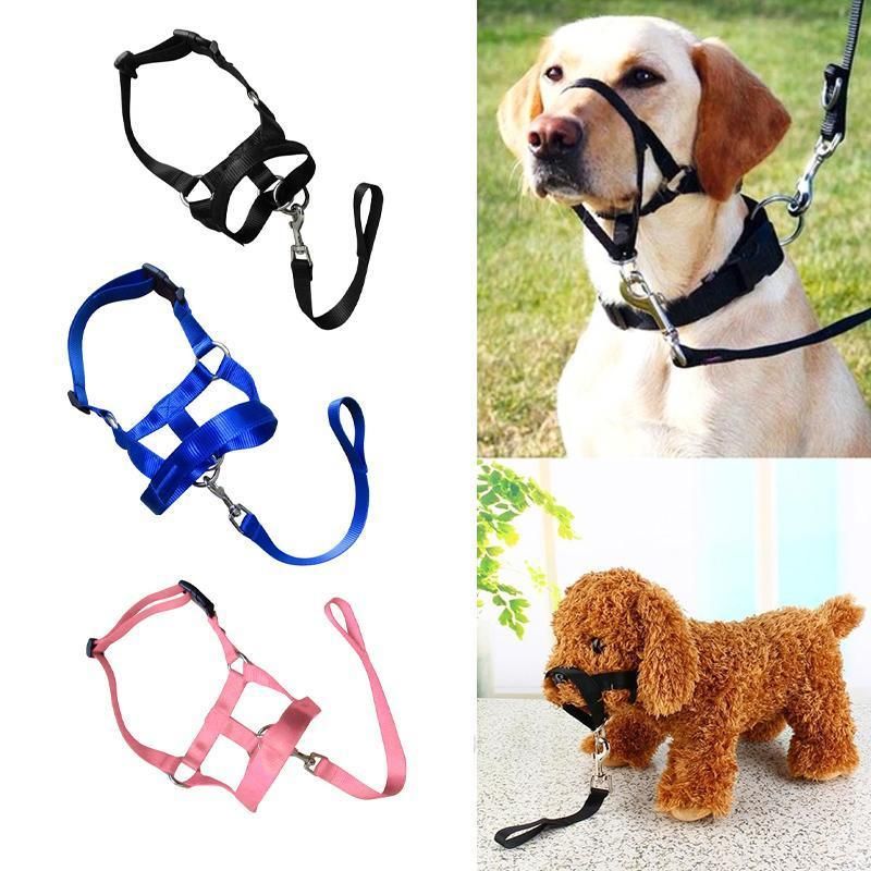 Black Dog Training Head Collar Halter Stop Pulling Training Tool Harness Strap Leader - M