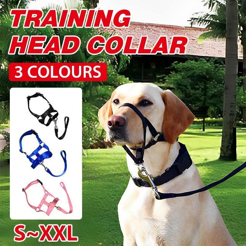 Black Dog Training Head Collar Halter Stop Pulling Training Tool Harness Strap Leader - L