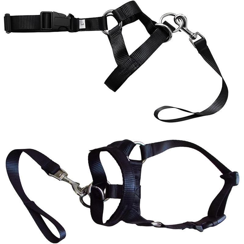 Black Dog Training Head Collar Halter Stop Pulling Training Tool Harness Strap Leader - L