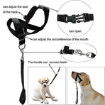 Black Dog Training Head Collar Halter Stop Pulling Training Tool Harness Strap Leader - L