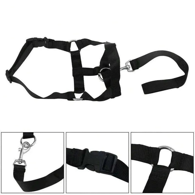Black Dog Training Head Collar Halter Stop Pulling Training Tool Harness Strap Leader - XL