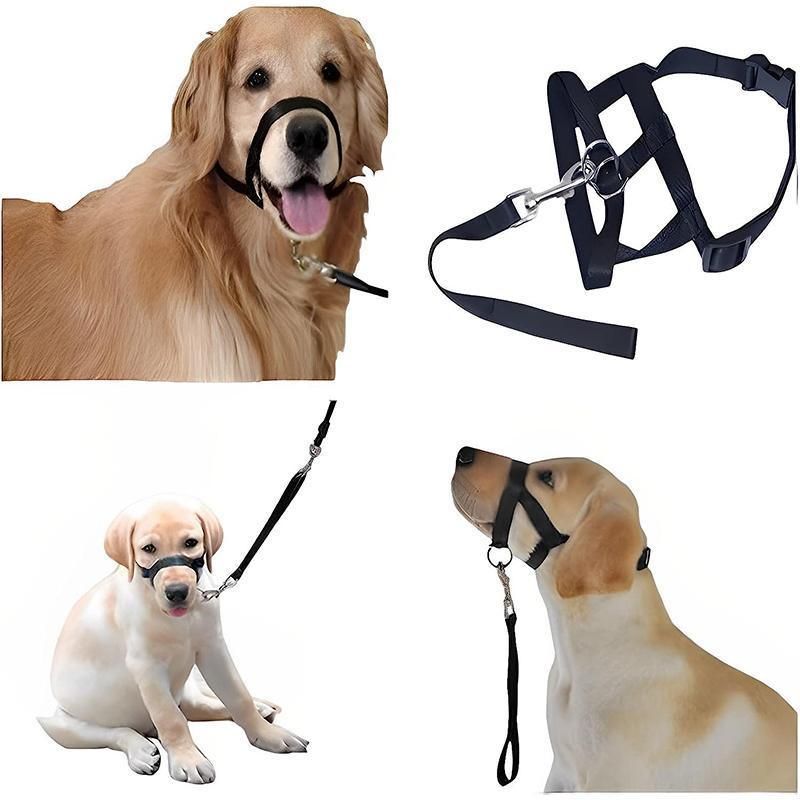 Black Dog Training Head Collar Halter Stop Pulling Training Tool Harness Strap Leader - XL