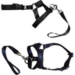Black Dog Training Head Collar Halter Stop Pulling Training Tool Harness Strap Leader - XXL