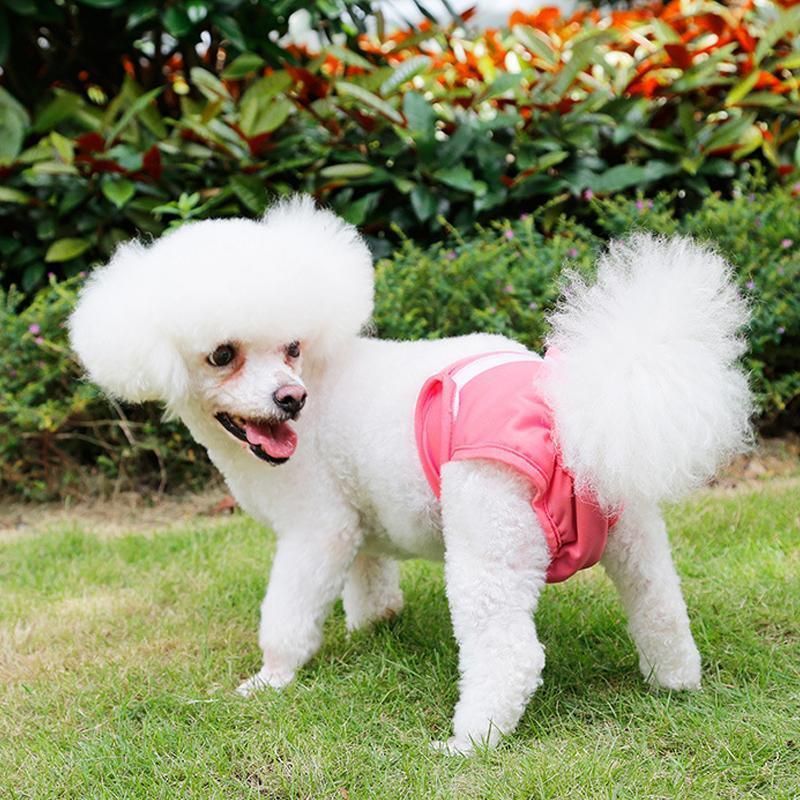 Female Dog Puppy Nappy Diapers Wrap Band Sanitary Pants Underpants XS-XL Black - XL