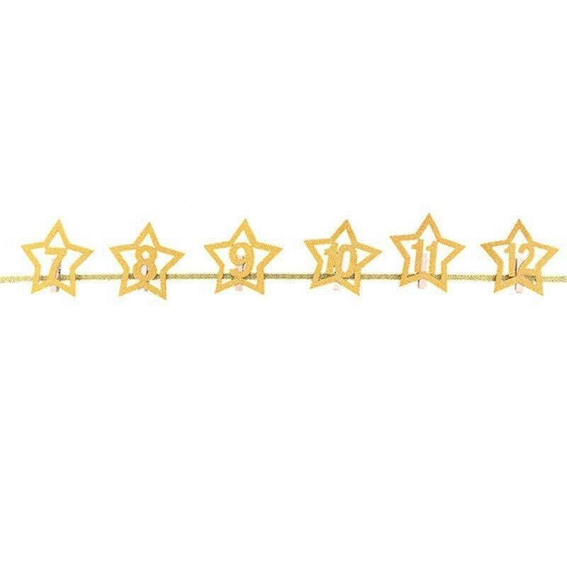 12 Month Photo Banner Milestone Photo Banner For First Birthday Party Diy Decor