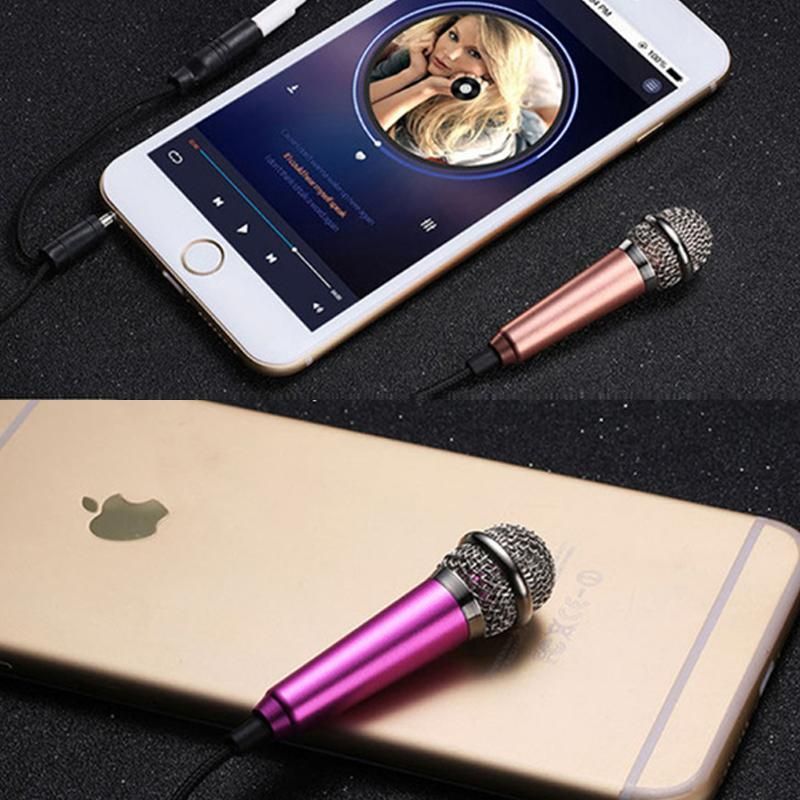 Mini Microphone Portable Vocal Instrument Mic for Mobile Phone Laptop Notebook - Silver