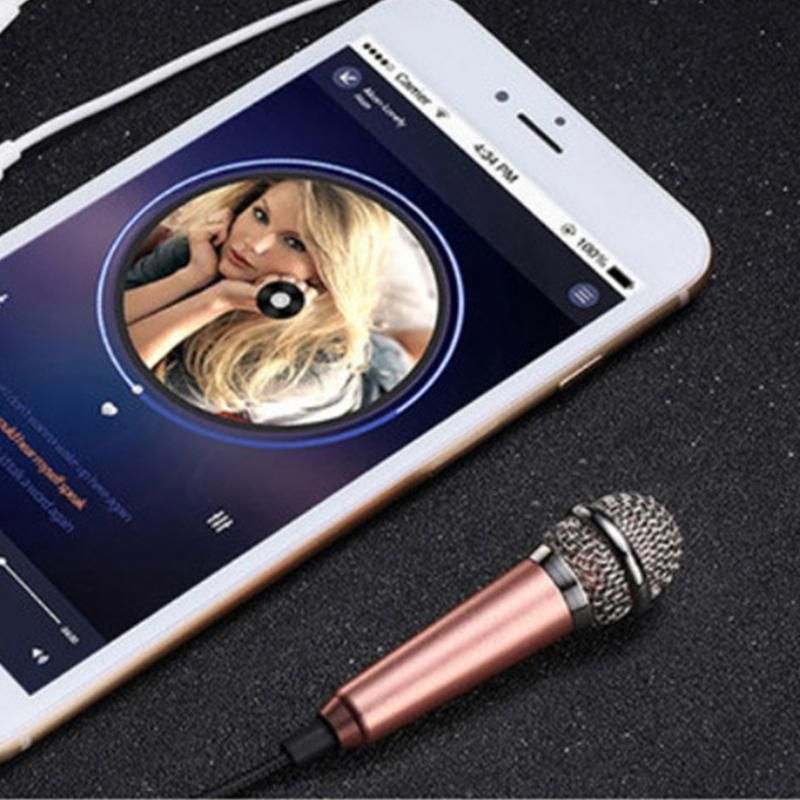 Mini Microphone Portable Vocal Instrument Mic for Mobile Phone Laptop Notebook - Silver