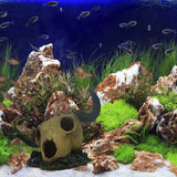 Fish Tank Crawler Climbing Pet Horror Landscape Decoration Simulation Decoration - Extra Image