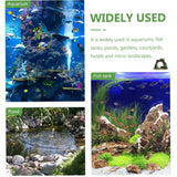 Fish Tank Landscape Archway Door Plate Decoration Fish Shrimp Shelter Aquarium - Rear View