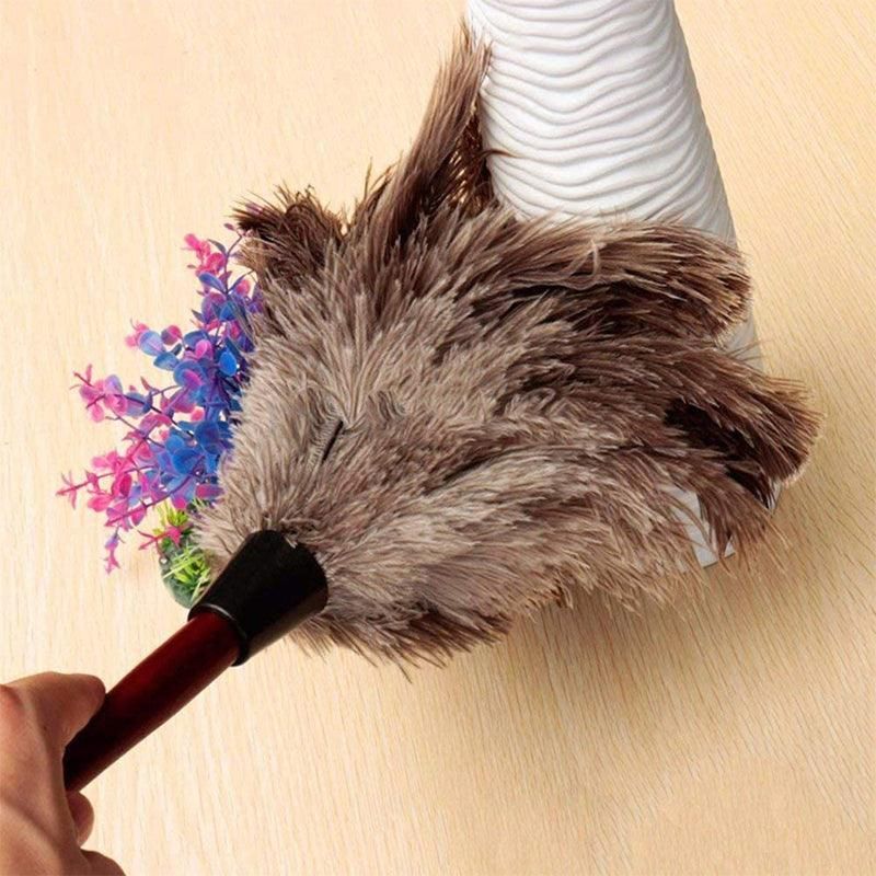 Anti Static Genuine Ostrich Feather Duster Wooden Handle Brush Clean