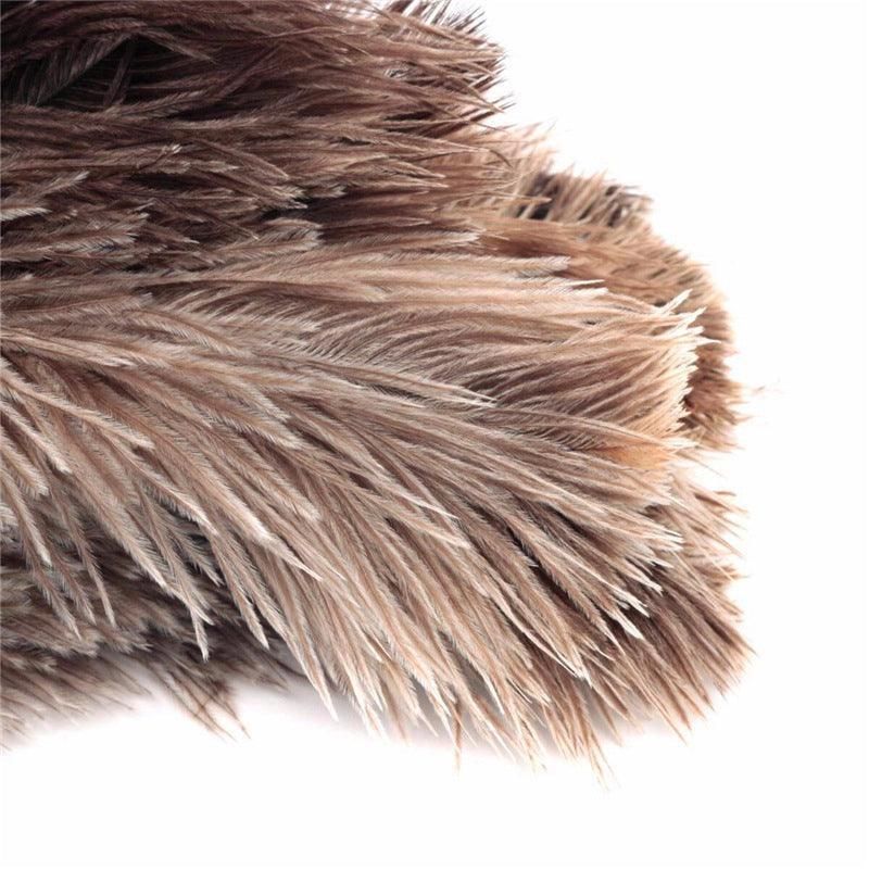 Anti Static Genuine Ostrich Feather Duster Wooden Handle Brush Clean
