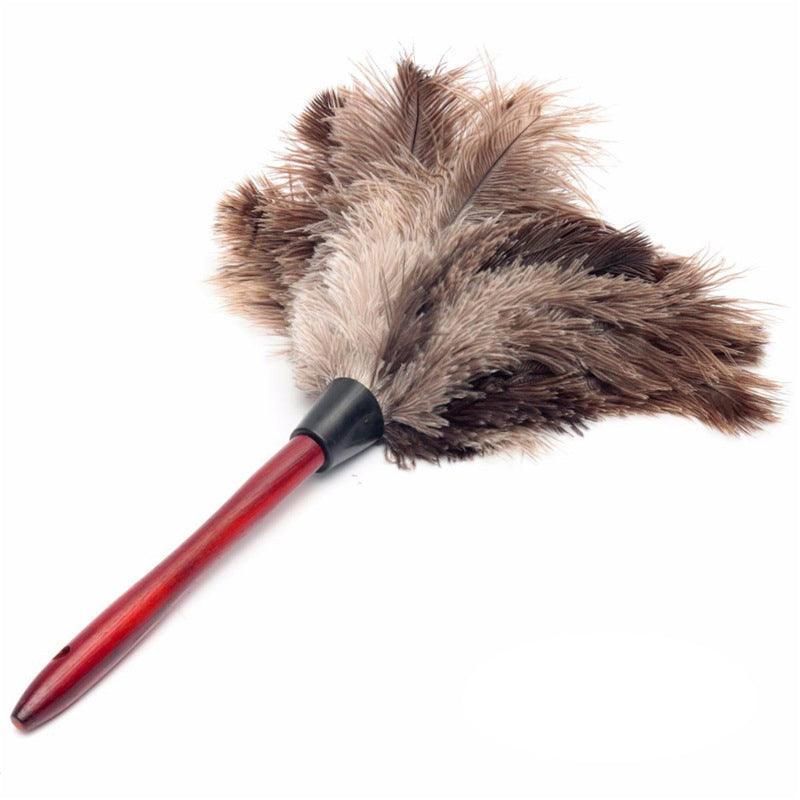 Anti Static Genuine Ostrich Feather Duster Wooden Handle Brush Clean