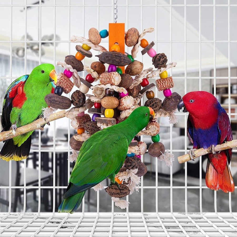 Colourful Parrot Toy Chew Corn Cob Fun Toy for Birds Safe Natural Playtime