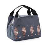 Portable Insulated Thermal Lunch Box Carry Tote Picnic Case Storage Bag 21x17x15cm - B02 (21x17x15cm)