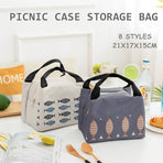 Portable Insulated Thermal Lunch Box Carry Tote Picnic Case Storage Bag 21x17x15cm - B04 (21x17x15cm)