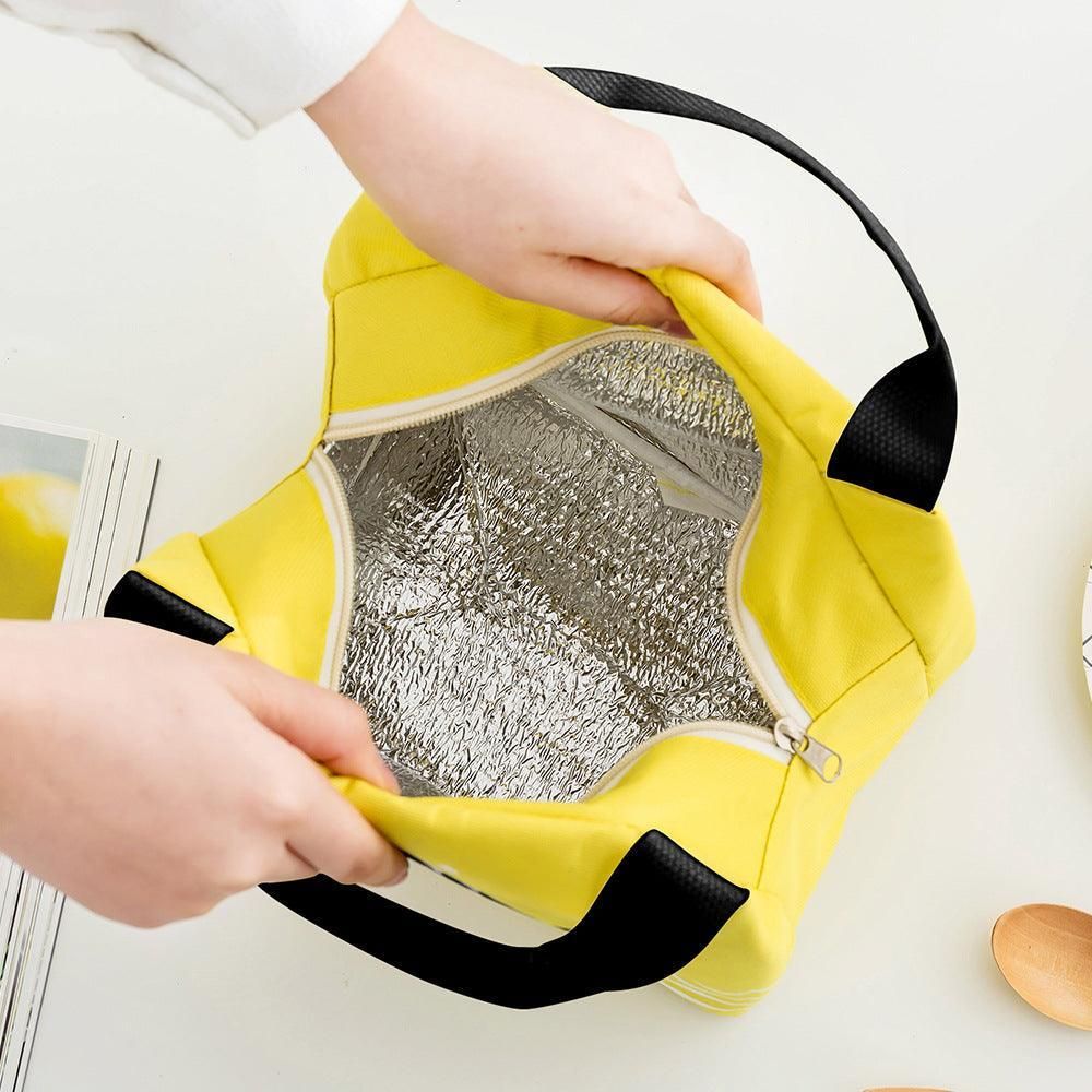 Portable Insulated Thermal Lunch Box Carry Tote Picnic Case Storage Bag 21x17x15cm - B04 (21x17x15cm)