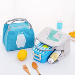 Portable Insulated Thermal Lunch Box Carry Tote Picnic Case Storage Bag 21x17x15cm - B04 (21x17x15cm)