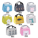 Portable Insulated Thermal Lunch Box Carry Tote Picnic Case Storage Bag 21x17x15cm - C06 (21x17x15cm)