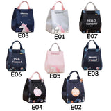 Portable Insulated Thermal Lunch Box Carry Tote Picnic Case Storage Bag 18x24x15cm - E05 (18x24x15cm)