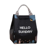 Portable Insulated Thermal Lunch Box Carry Tote Picnic Case Storage Bag 18x24x15cm - E07 (18x24x15cm)