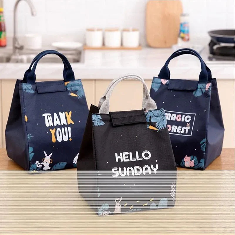 Portable Insulated Thermal Lunch Box Carry Tote Picnic Case Storage Bag 18x24x15cm - E07 (18x24x15cm)