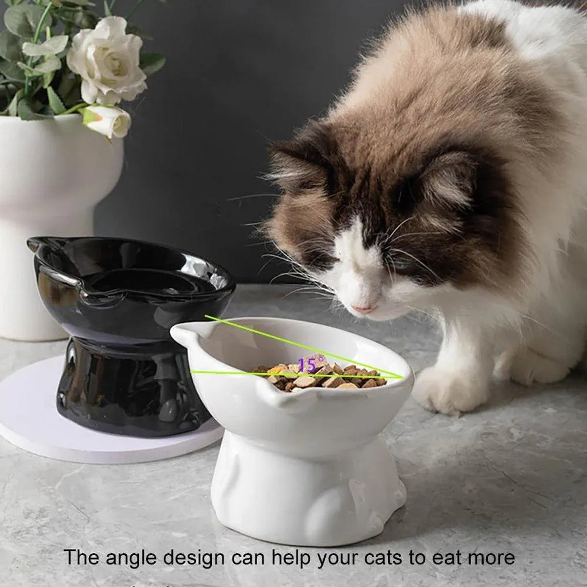 Ceramic Cat Bowl Cute Tall Raised Cat Food Bowl for Pets Eating Comfortably - White