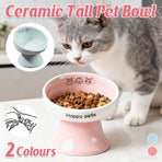Tall Raised Ceramic Pet Bowl for Cats and Small Dogs in Blue or Pink - Blue
